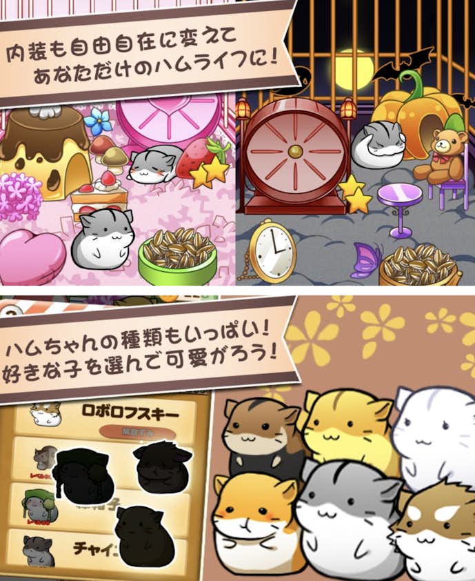 28._ハムスターライフ.png