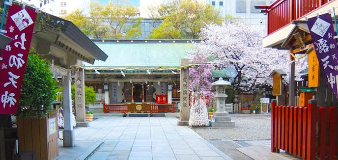 大阪府のおすすめ観光スポットは露天神社