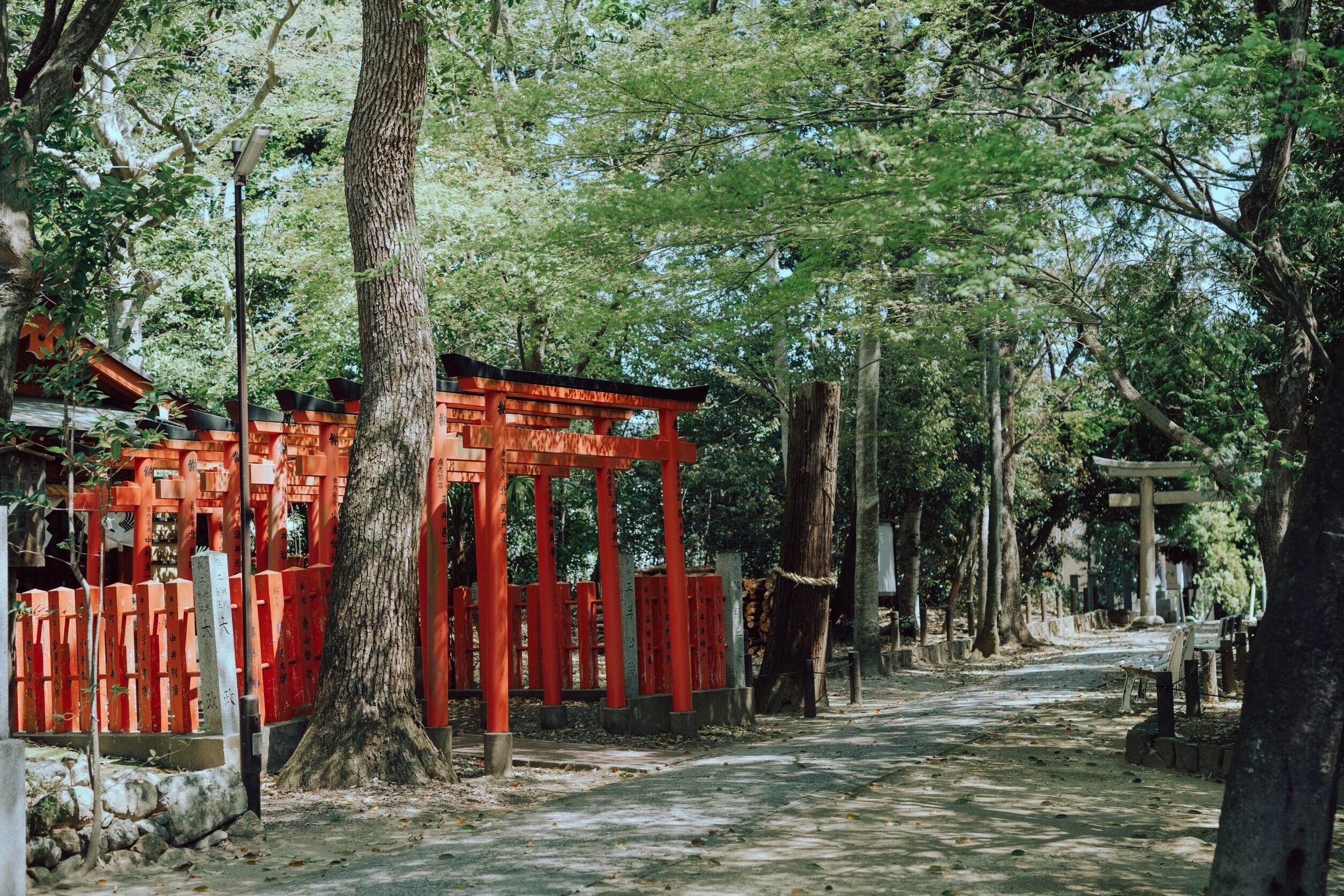 大阪府のおすすめ観光スポットは阿比太神社