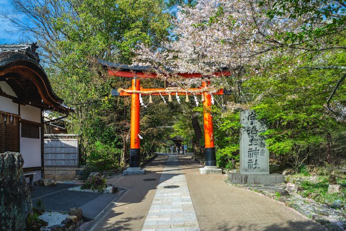 京都のおすすめお出かけスポットは宇治上神社