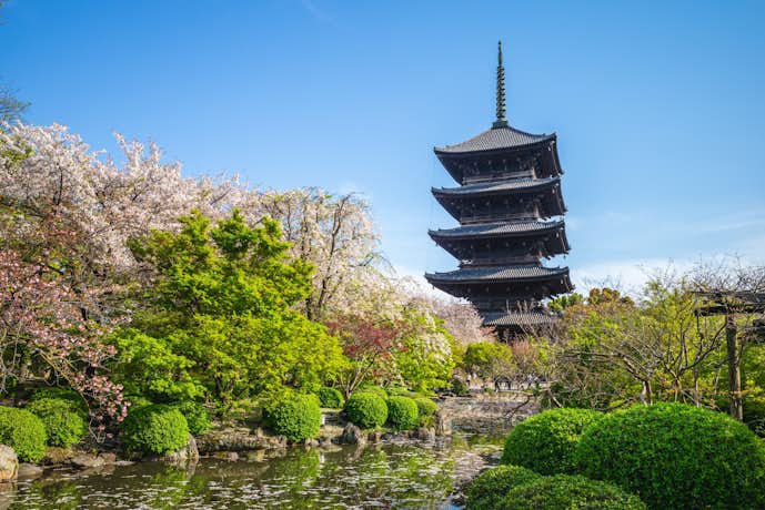 京都のおすすめお出かけスポットは東寺