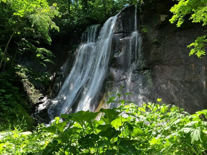 札幌市のおすすめ観光スポットは滝野すずらん丘陵公園