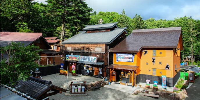 長野県のおすすめ観光スポットはチビッコ忍者村