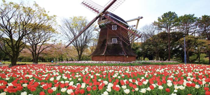 名古屋のおすすめデートスポットは名城公園