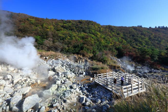 長崎県のおすすめ観光スポットは雲仙地獄