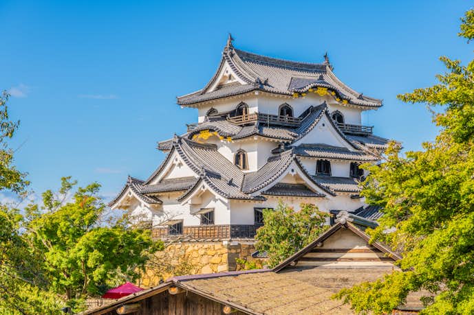 滋賀県のおすすめ観光スポットは彦根城