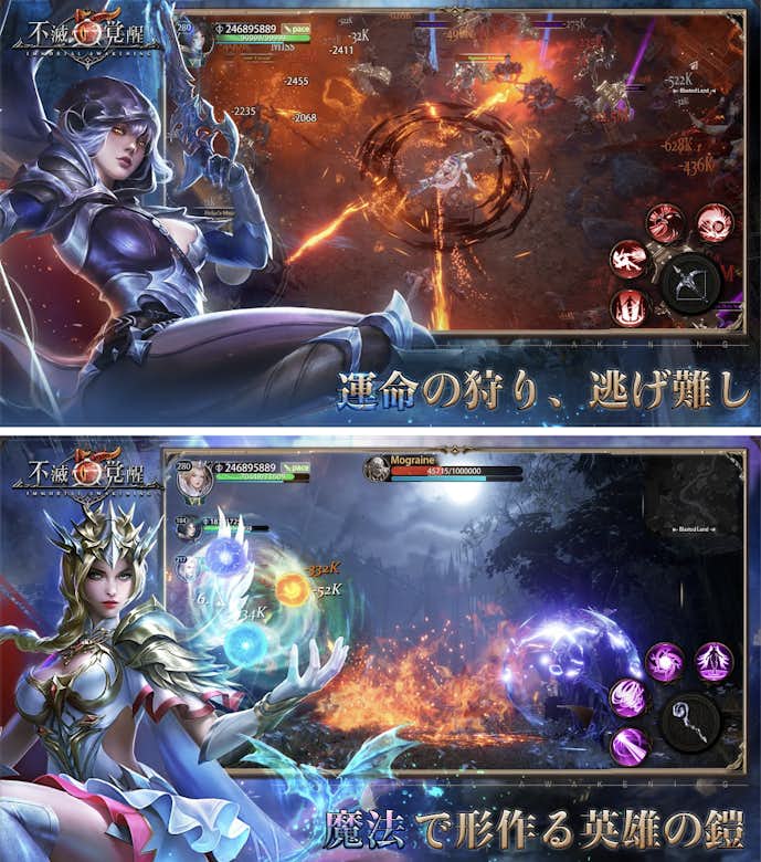 不滅の覚醒.png