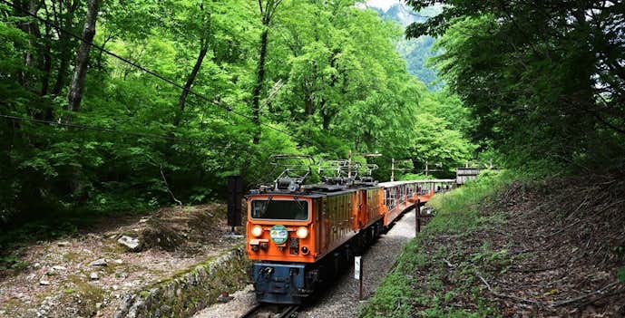 富山県のおすすめ観光スポットは黒部峡谷トロッコ列車