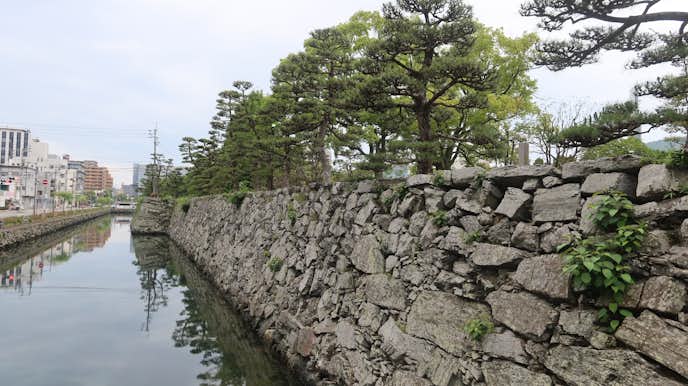 徳島県のおすすめお出かけスポットは徳島中央公園