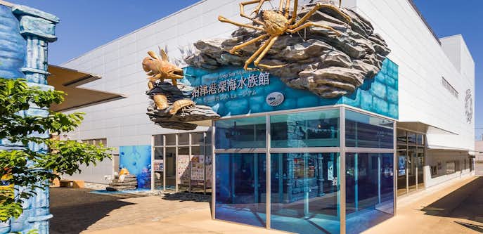 静岡県のおすすめ観光スポットは沼津港深海水族館 シーラカンス・ミュージアム