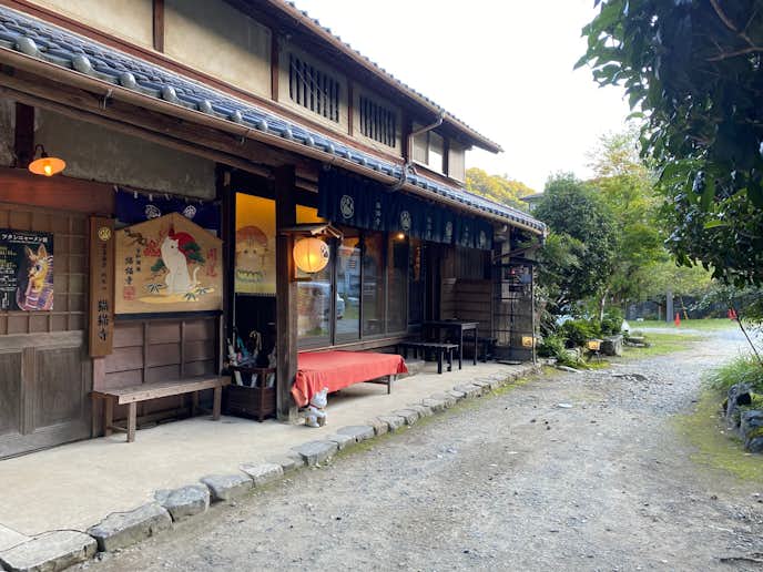 京都のおすすめ観光京都スポットは猫猫寺 開運ミュージアム