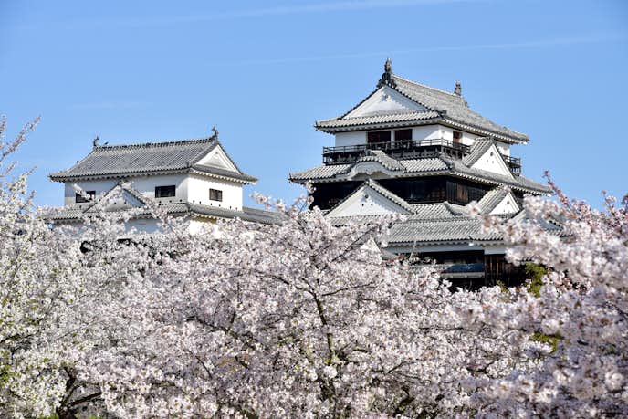 愛媛県のおすすめ観光スポットは松山城