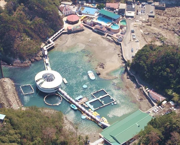 静岡お出かけスポットのおすすめは下田海中水族館