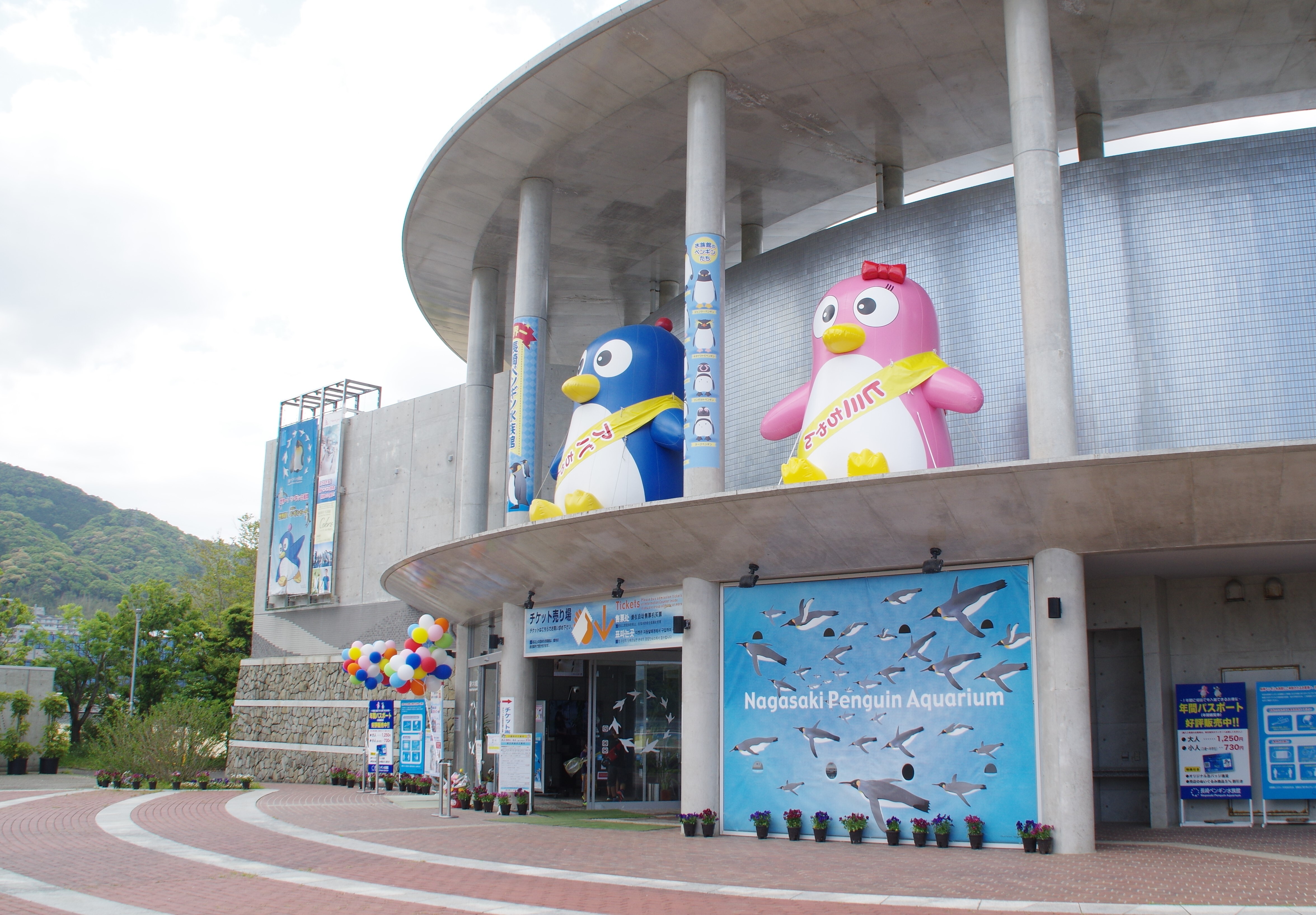 長崎のおすすめお出かけスポットは長崎ペンギン水族館