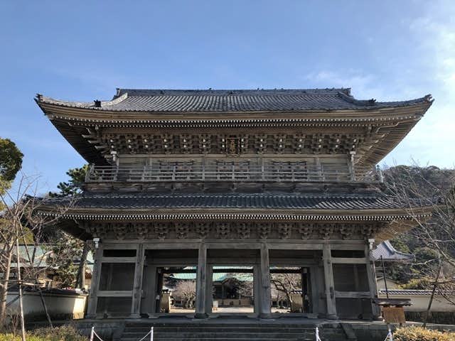 鎌倉お出かけスポットのおすすめは浄土宗大本山光明寺