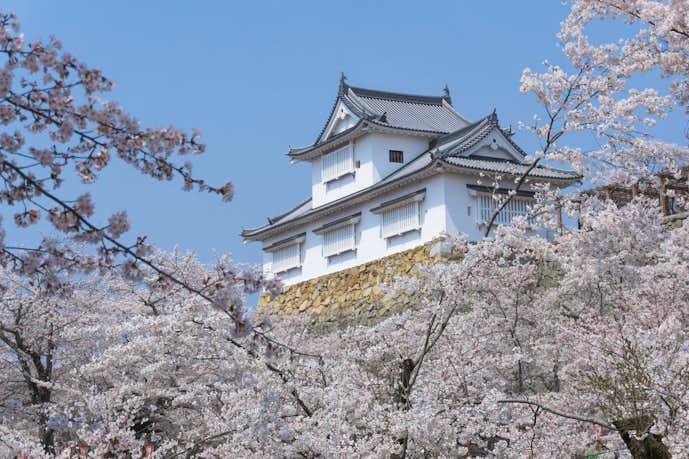 岡山県のおすすめ観光スポットは津山城