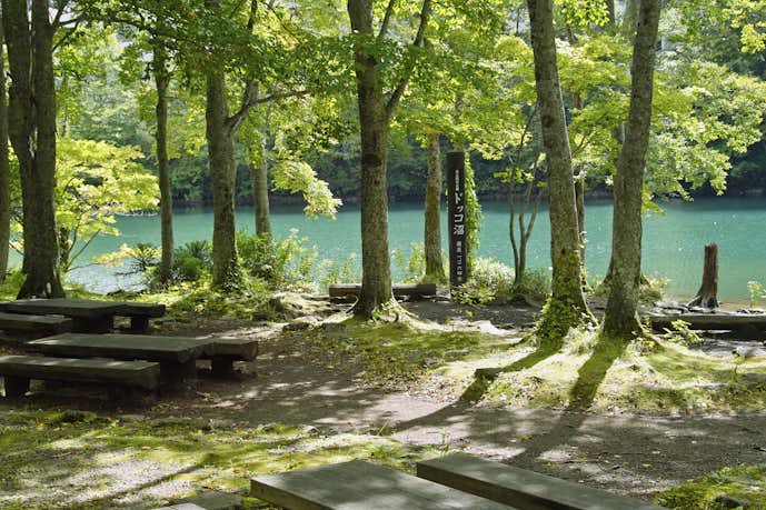 山形県のおすすめ観光スポットはドッコ沼