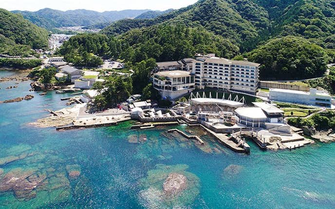 兵庫県のおすすめ観光スポットは城崎マリンワールド