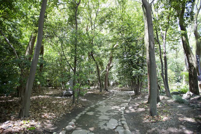 兵庫県のおすすめ観光スポットは生田神社