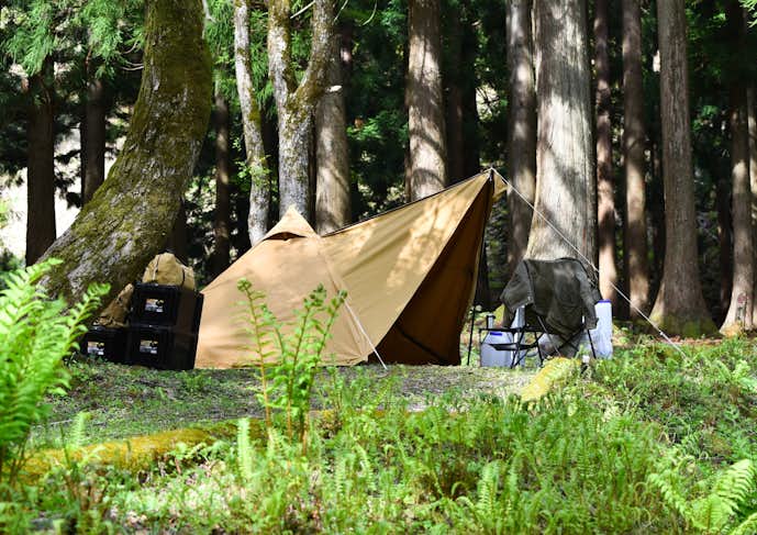 兵庫県のおすすめ観光スポットはもののけの森 グリーンパークハチ北