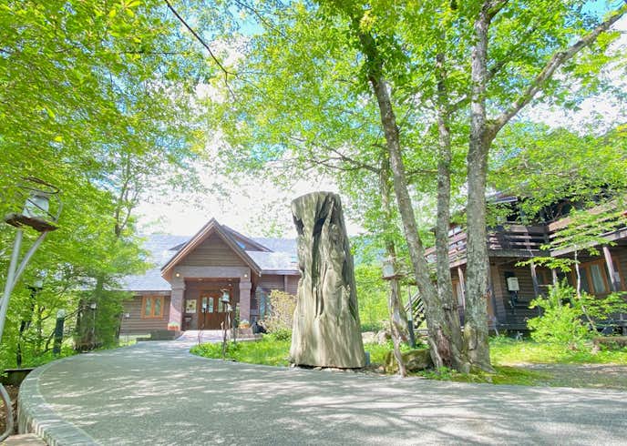 長野県のおすすめ観光スポットは絵本美術館 森のおうち