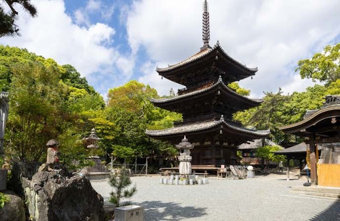 愛媛県のおすすめ観光スポットは石手寺
