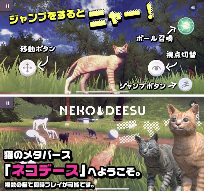 ネコデース_猫のメタバース.png