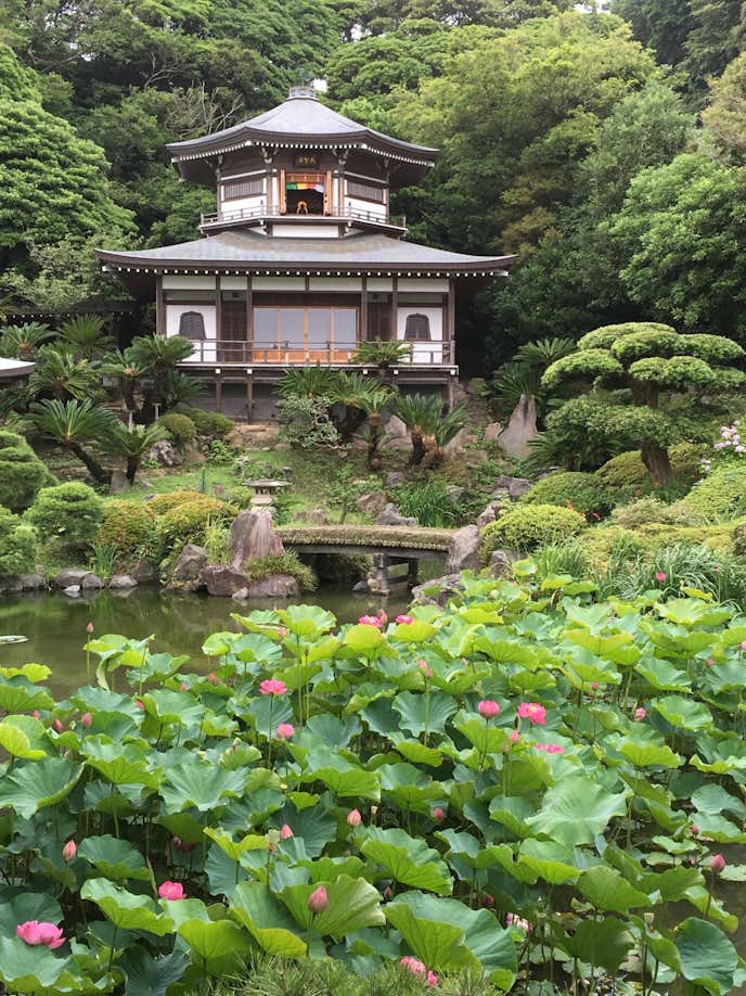 鎌倉お出かけスポットのおすすめは浄土宗大本山光明寺