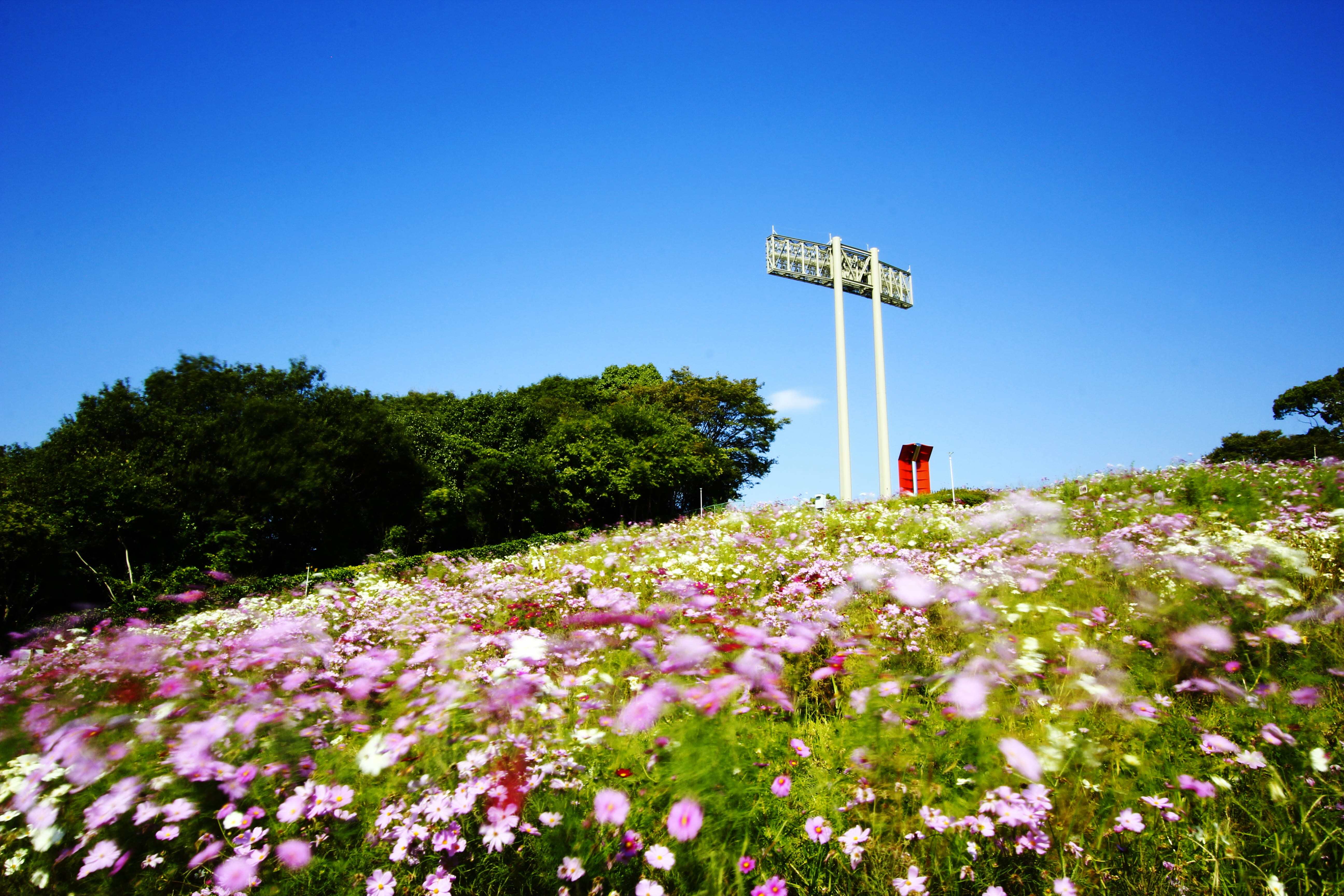 兵庫県のおすすめお出かけスポットは神戸総合運動公園