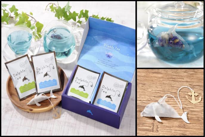 ホワイトデーのお返しにおすすめなOCEAN-TEABAG ブルーを楽しむ イルカのティーバックギフト