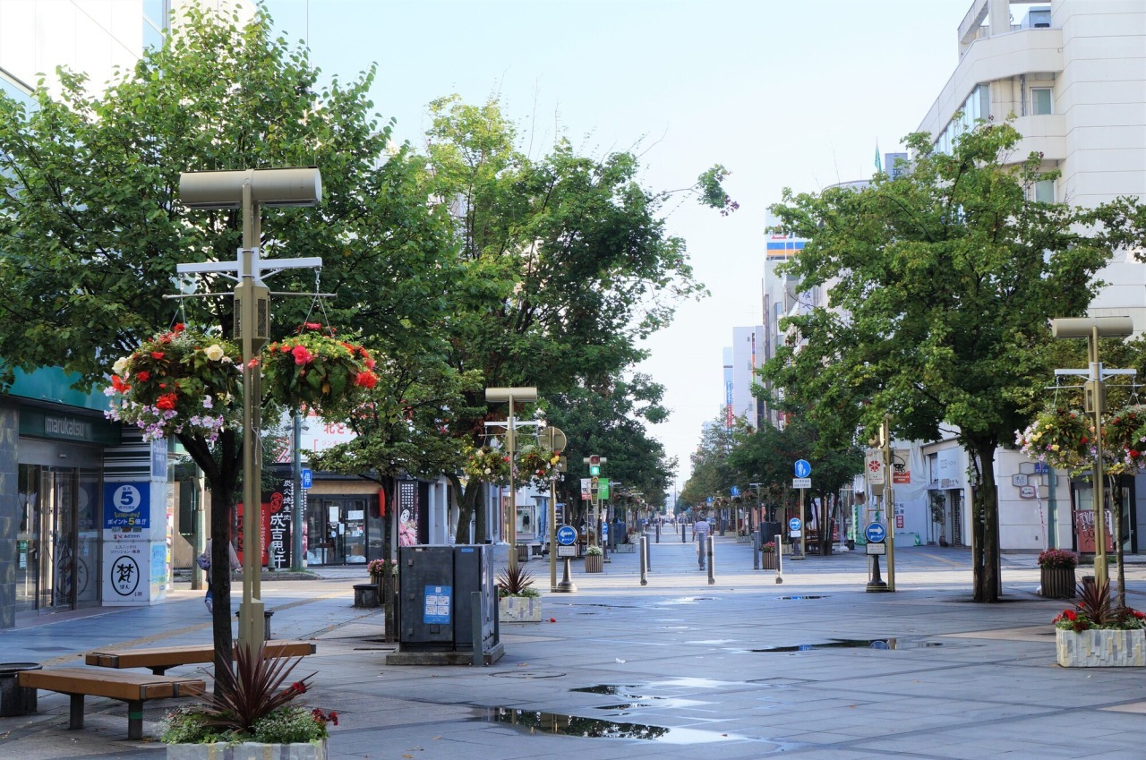 平和通買物公園