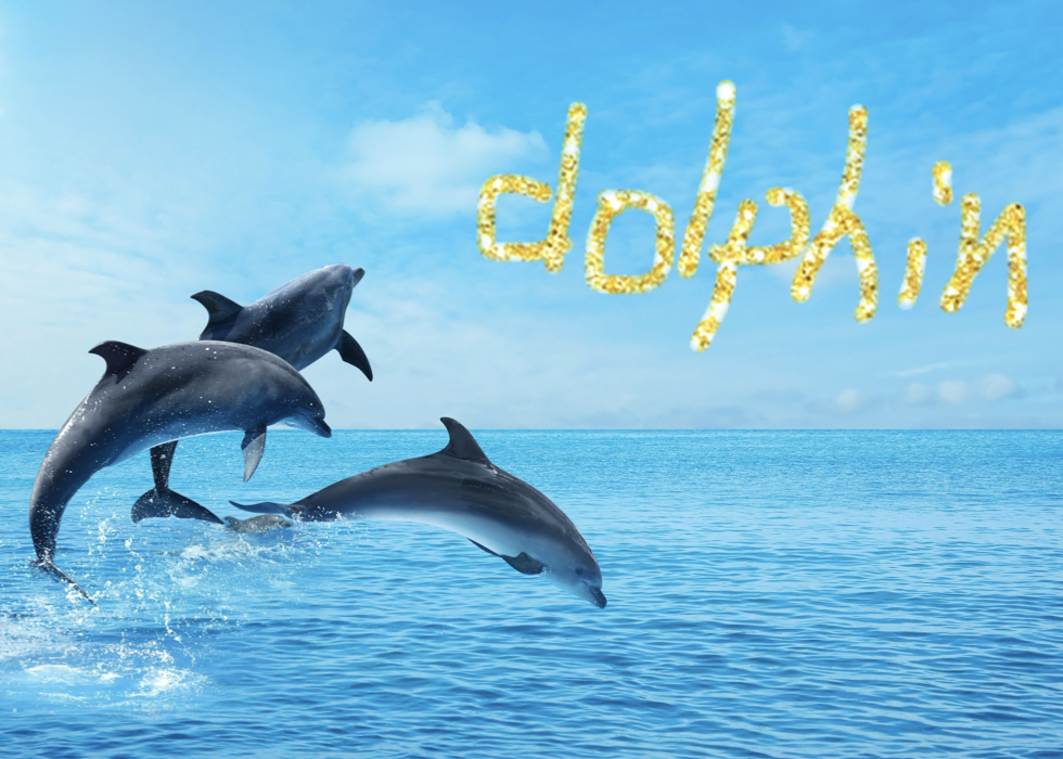  BeautyPlusで文字入れをした画像