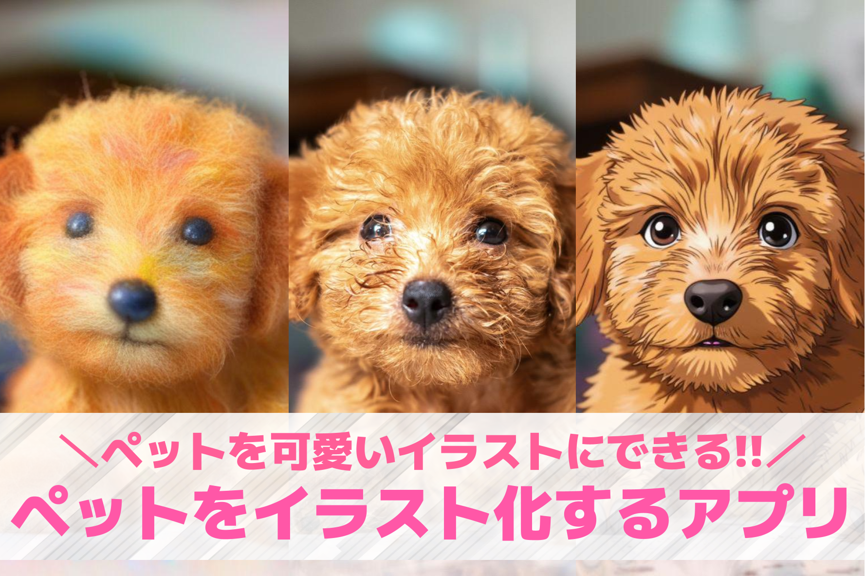 ペットの写真をイラスト化するアプリ...