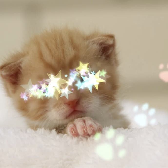 キラキラ加工 Lite