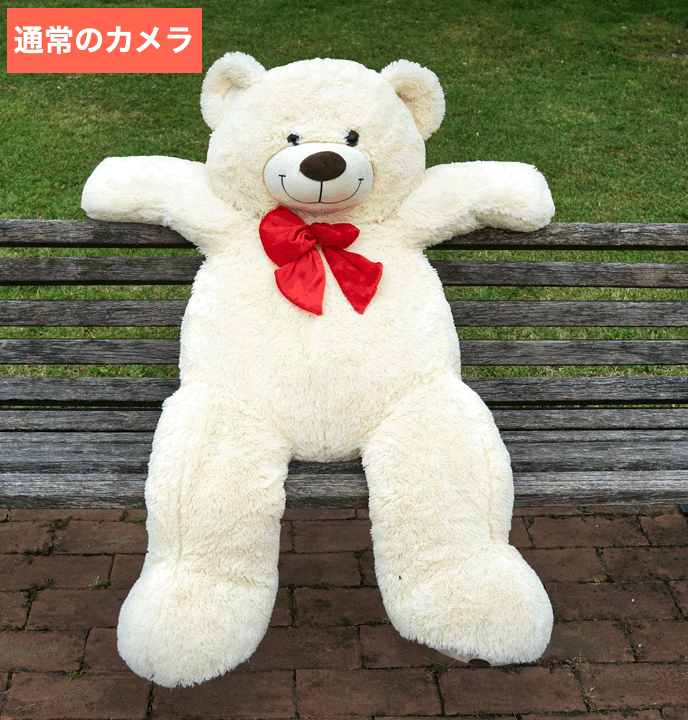 BeautyPlusでぬい撮りを可愛く加工した画像