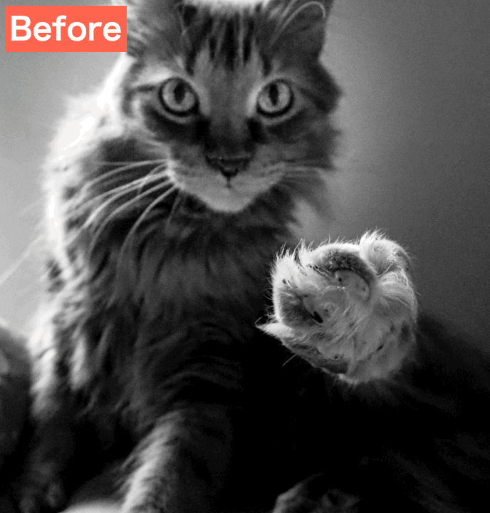 BeautyPlusで白黒写真をカラー化した画像