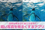 暗い写真を明るくする方法＆おすすめアプリ1...