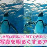 暗い写真を明るくする方法&おすすめアプリ10選。画像を明るくするアプリの使い方も解説!