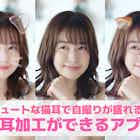 【無料】猫耳加工アプリおすすめ9選。写真に可愛い猫耳をつけられるアプリを紹介!