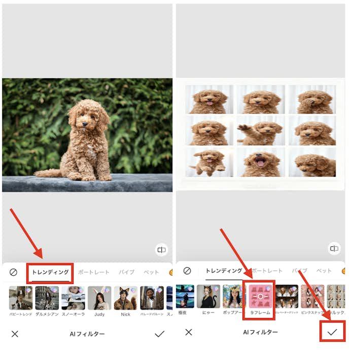 BeautyPlusでペットの証明写真を作成する方法