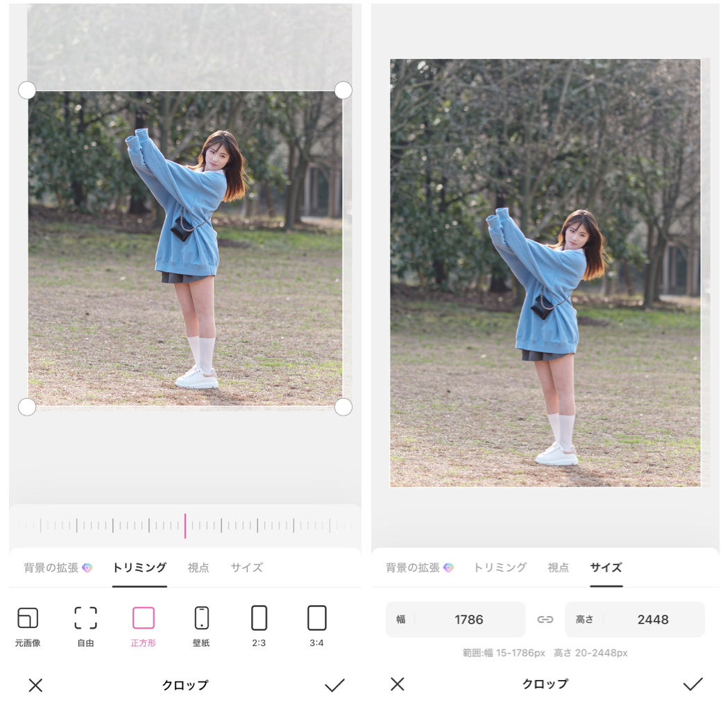 BeautyPlusの詳細画面