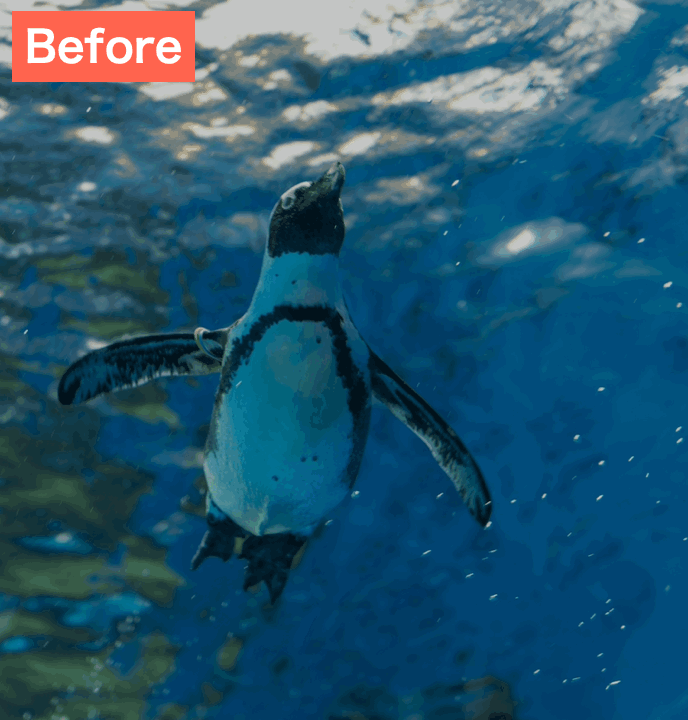 BeautyPlusで暗い写真を明るくした画像