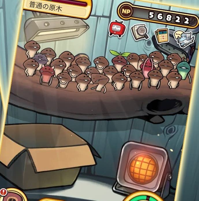 元祖なめこ栽培キット