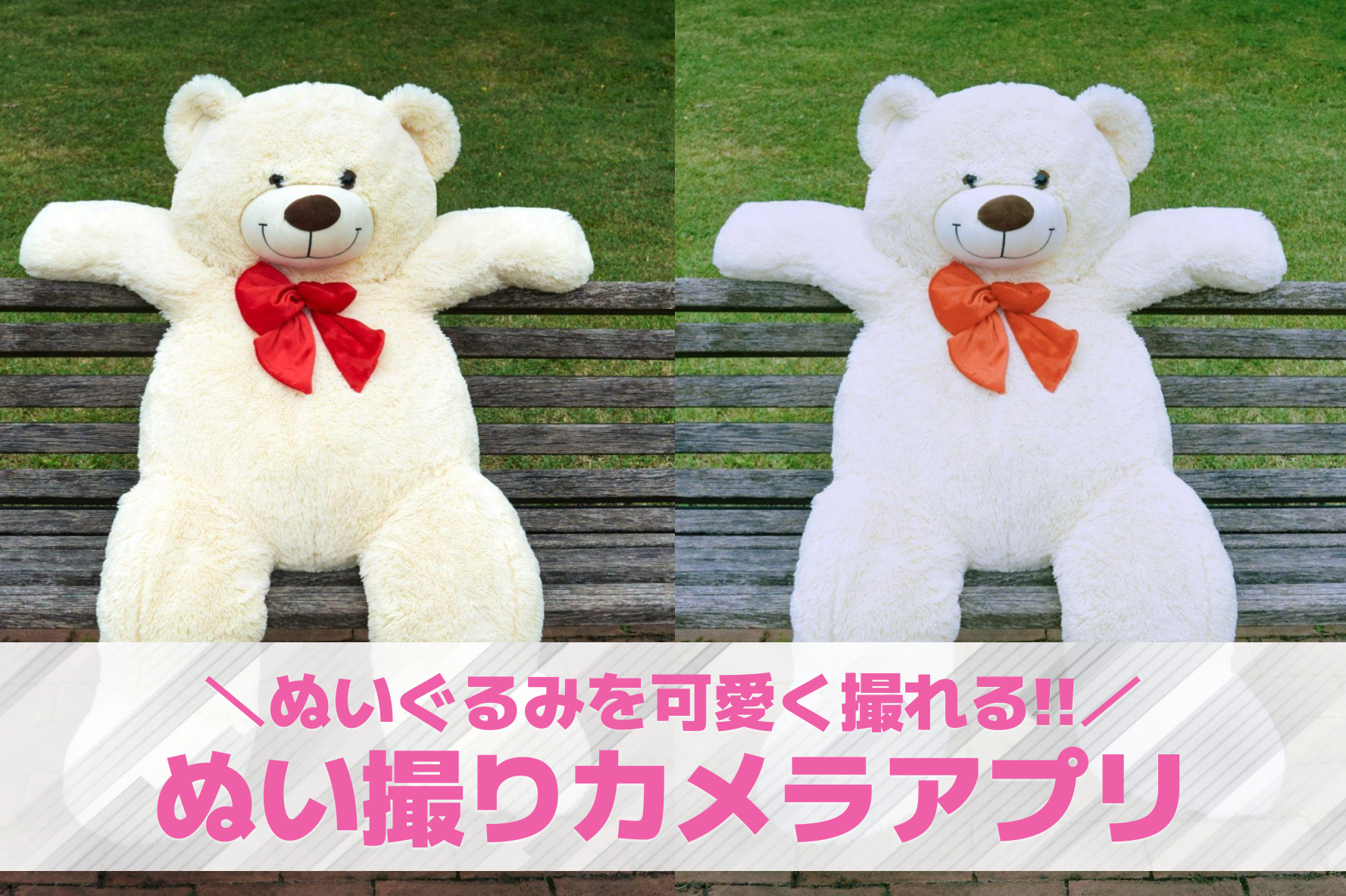 ぬい撮りにおすすめのカメラアプリ10選。ぬい撮りのコツ＆加工アプリを紹介！