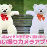 ぬい撮りにおすすめのカメラアプリ10選。ぬい撮りのコツ&加工アプリを紹介!