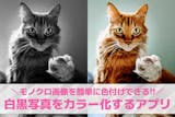 【無料】白黒写真をカラー化するアプリおすす...
