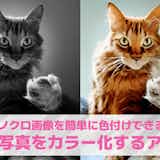 【無料】白黒写真をカラー化するアプリおすすめ10選。昔のモノクロ写真に色をつけるアプリを紹介!
