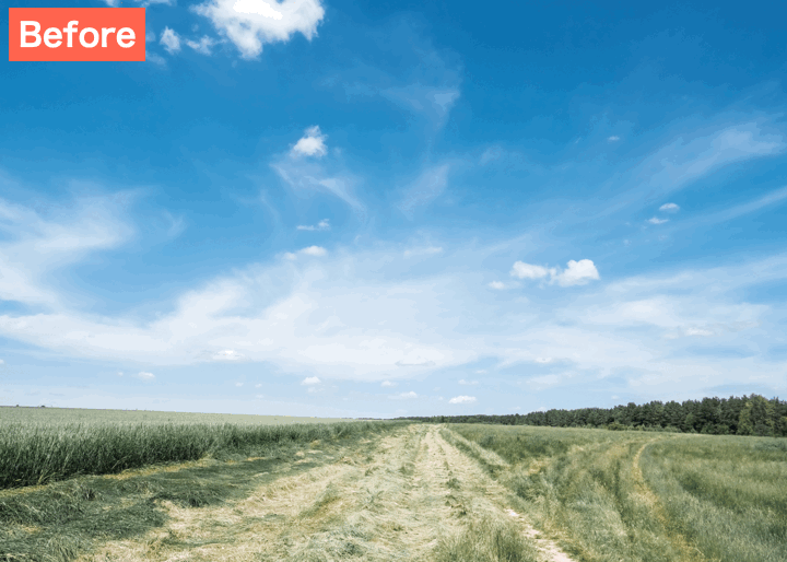 EPIKで昼の写真を夜に加工した画像