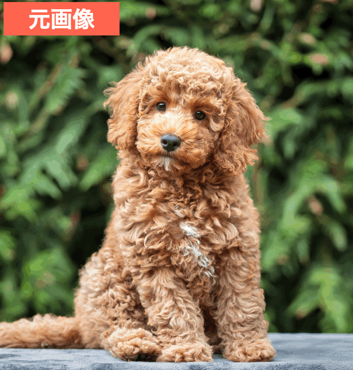 BeautyPlusでペットの写真をディズニー風に加工した画像