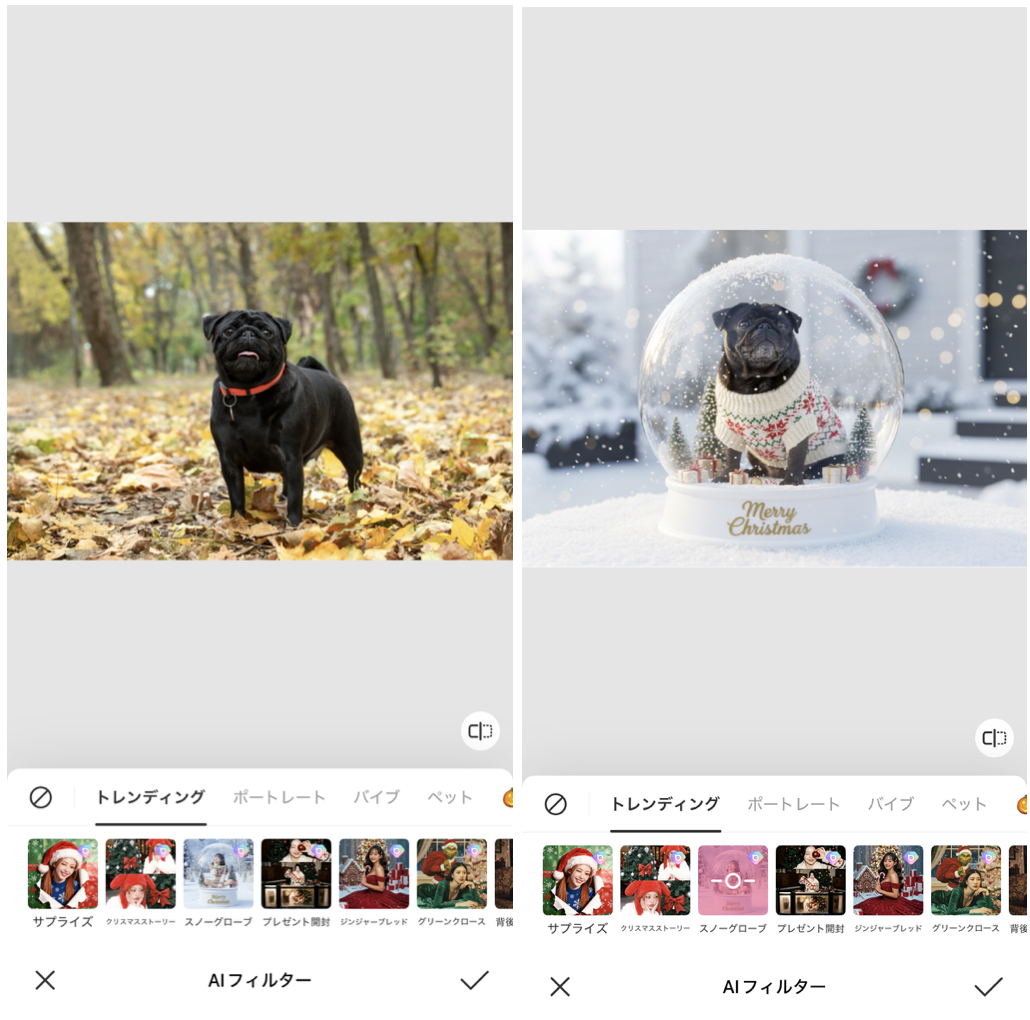 BeautyPlusの詳細画面